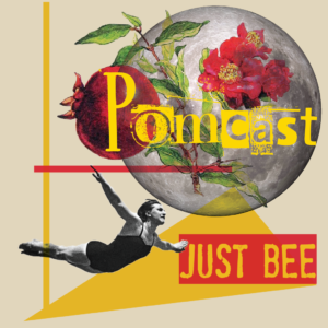 POMcast