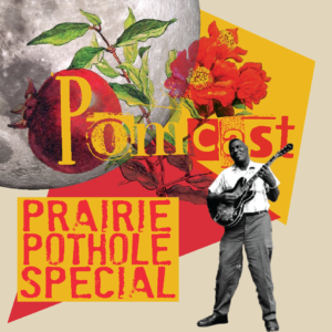 POMcast